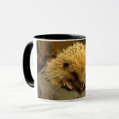 egel-mok mok (Voorkant links)