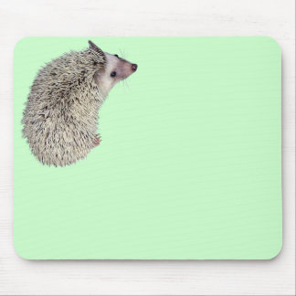 Egel Mousepad 2 Muismat