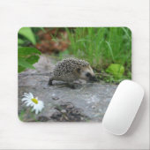 Egel mousepad - aanpasbaar muismat (Met muis)