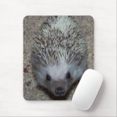 Egel Muismat (Met muis)