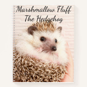 egel-notebook notitieboek