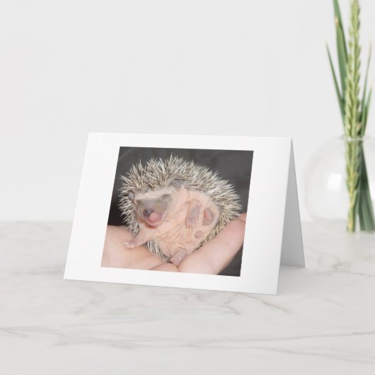 Egel Notecard Kaart (Voorkant)