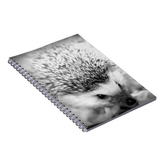 egel notitieboek (Rechterzijde)