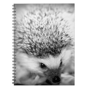 egel notitieboek