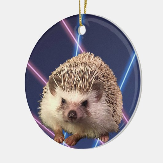 Egel-Ornament Keramisch Ornament (Links)