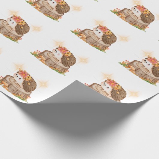 Egel-pakpapier Cadeaupapier (Hoek)