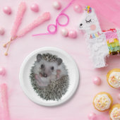 Egel Papieren Bordje (Feest)