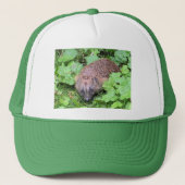 Egel-Pet Trucker Pet (Voorkant)