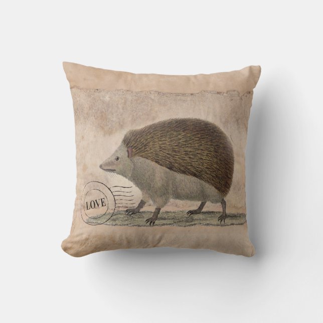 Egel Pillow 20x20 Kussen (Voorkant)