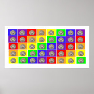 Egel Rainbow Poster