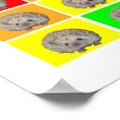 Egel Rainbow Poster (Hoek)