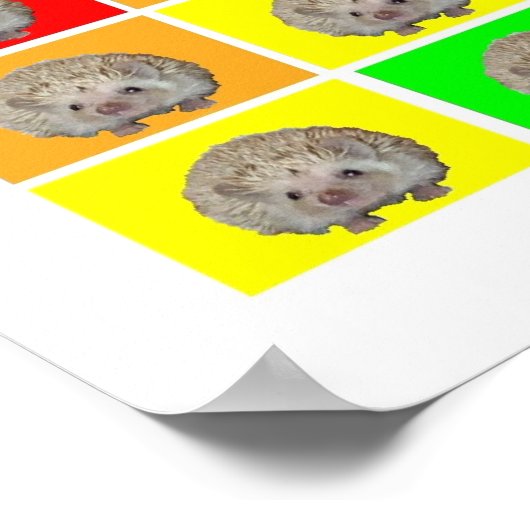 Egel Rainbow Poster (Hoek)