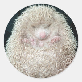 Egel Ronde Sticker