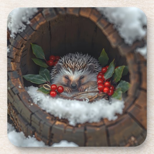 Egel schattig wintergeluk bier onderzetter (Voorkant)