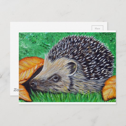 Egel schilderen briefkaart (Voorkant / Achterkant)