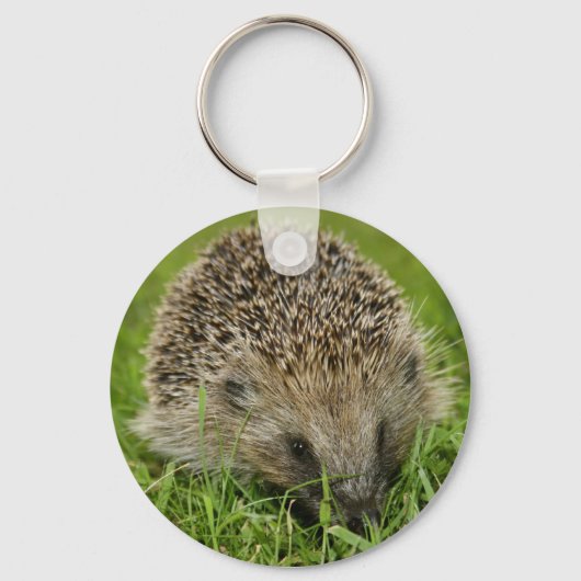 Egel-Sleutelhanger Sleutelhanger (Voorkant)