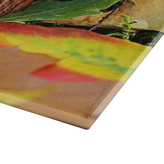 Egel Snijplank (Hoek)