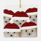 Egel Square Ceramic Ornament (Achterkant)