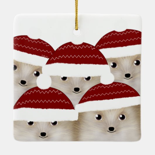 Egel Square Ceramic Ornament (Achterkant)