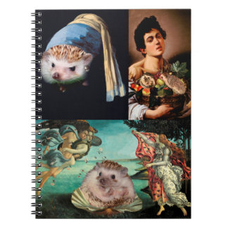 Egel-sterstukken Notitieboek