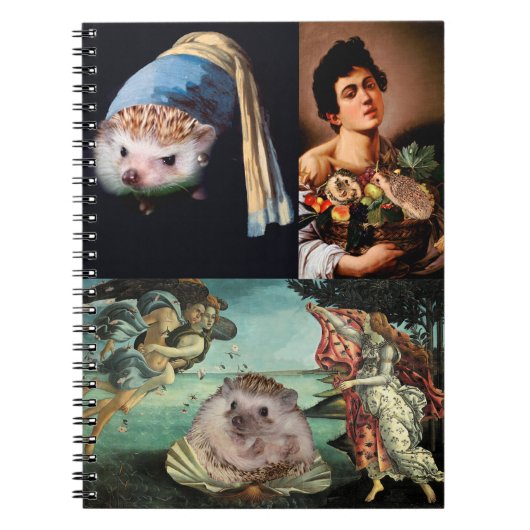 Egel-sterstukken Notitieboek (Voorkant)