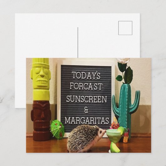 Egel Sunscreen en Margaritas Briefkaart (Voorkant / Achterkant)
