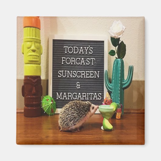 Egel Sunscreen en Margaritas Magneet (Voorkant)