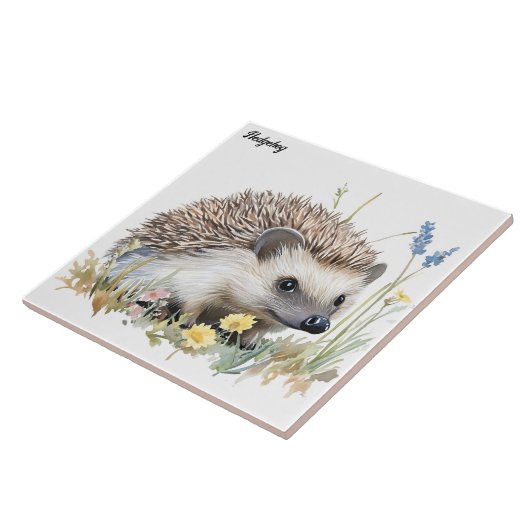 Egel Tegeltje (Zijkant)