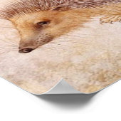 EGEL / Tekening van een dier Poster (Hoek)