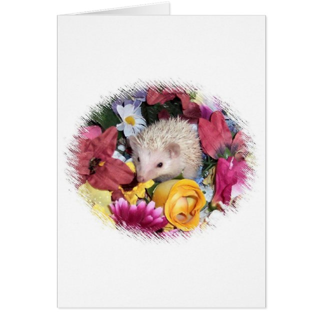 Egel tussen de bloemen (Voorkant)