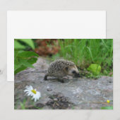 Egel-uitnodiging - aanpassen kaart (Voorkant / Achterkant)