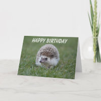 egel verjaardagskaart