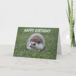 egel verjaardagskaart kaart