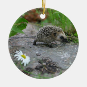 Egel-versiering - aanpasbaar keramisch ornament