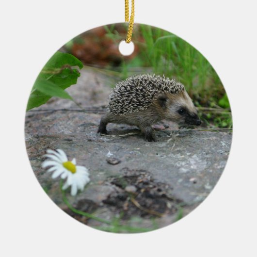 Egel-versiering - aanpasbaar keramisch ornament (Voorkant)
