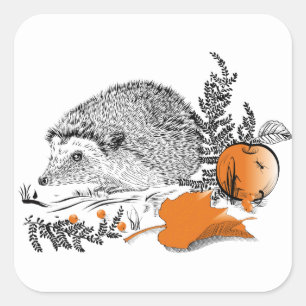 Egel Vierkante Sticker