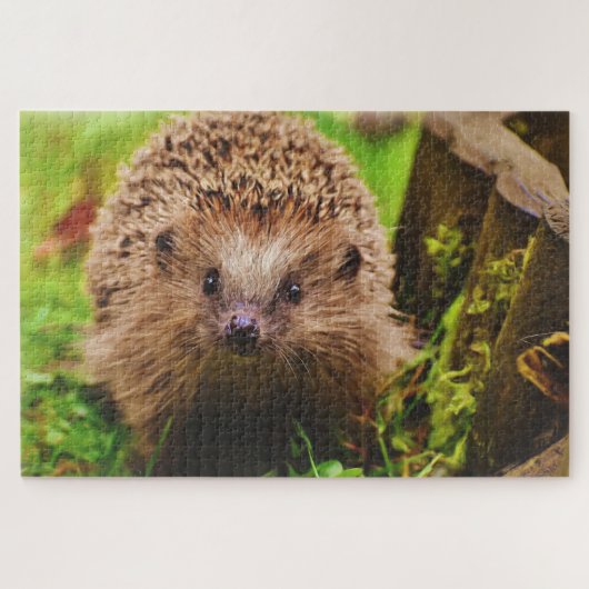Egel vreemd verkennen legpuzzel (Horizontaal)