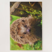 Egel vreemd verkennen legpuzzel (Verticaal)