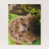 Egel vreemd verkennen legpuzzel (Verticaal)