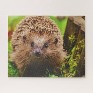 Egel vreemd verkennen legpuzzel
