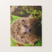 Egel vreemd verkennen legpuzzel (Verticaal)