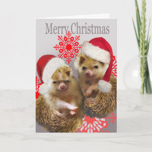 Egel Vrolijke Kerst Kaarten