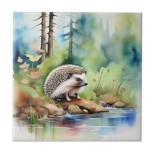 Egel Waterverf Schattige Tegeltje (Voorkant)