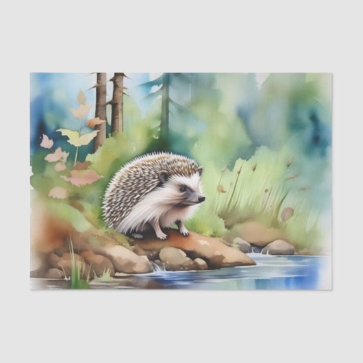 Egel Waterverf Schattige Tissuepapier (Voorkant)
