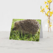 Egel-Wenskaart Kaart (Gele Bloem)