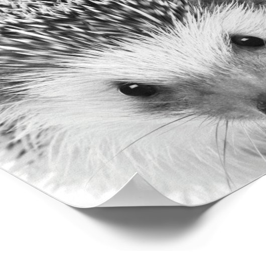 Egel Woodland Kinder Room Decor Poster (Hoek)