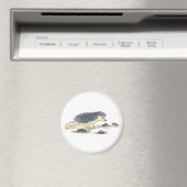 Egel Yoga, Chaturanga Magneet (Insitu (Vaatwasser))