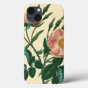 Egelantierroos iPhone 13 Hoesje