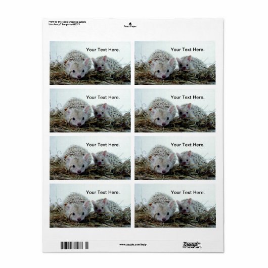 Egels als gezelschapsdieren etiket (Full Sheet)