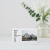 Egels als gezelschapsdieren visitekaartje (Staand voorkant)